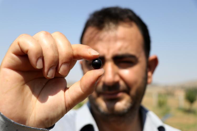 <p>"İçerdiği antioksidan, antosiyanin ve fenollerle bu meyve insan sağlığına iyi geldiği belirtiliyor. </p>