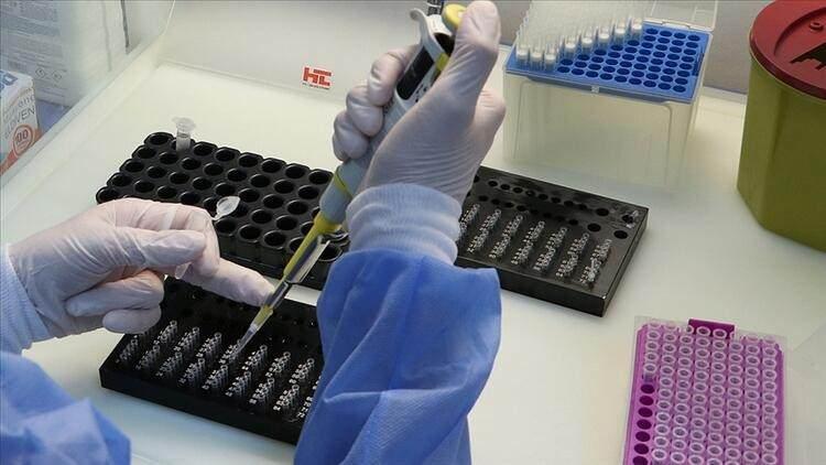 <p><strong>9) TESTLER NEREDE YAPTIRILACAK? </strong><br />
<br />
PCR testleri devlet hastanelerinde ve test yapan tüm sağlık kurumlarında yaptırılabilecek. Test işlemi işyerlerinin kendi bünyesinde de yapılabiliyor.</p>
