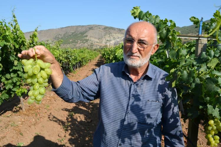 <p>“Koyulhisar Sivas’ın Antalya’sı"</p>
<p>Erden, ilçede neredeyse her türlü meyve ve sebzenin yetiştiğini söyleyerek, “Bir günde 1 Tona yakın hasat bekliyoruz. Koyulhisar Sivas’ın Antalya’sı, burada yetişmeyen bir şey yok ki üzüm, karpuz, kavun, domates.</p>