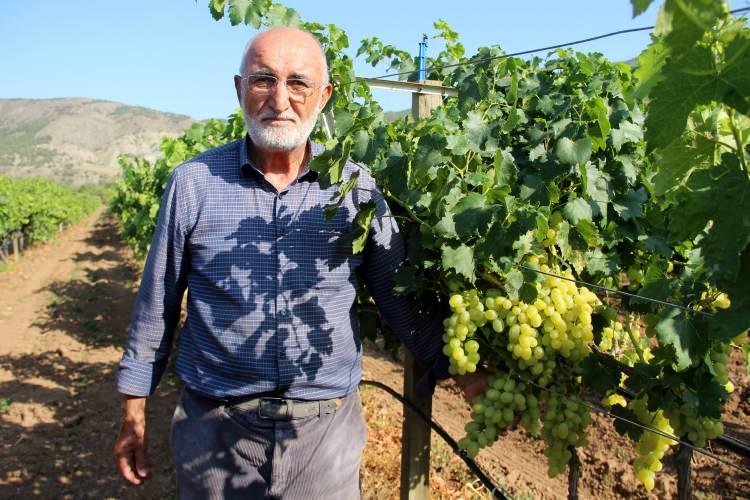 <p>Tarlanın kenarına üzüm dikmek için Manisa’ya gittim arkadaşımla birlikte bana orada dediler 'Kenarda üzüm olmaz' diye daha sonra 5 dönüm bir yer yaptım ondan sonra büyüttüm.</p>