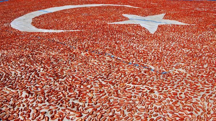 <p>Elazığ'da mevsimlik işçiler, kesip kurutmaya bıraktıkları domateslerle ay yıldızlı dev Türkiye haritası oluşturdu.</p>
