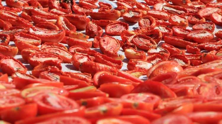 <p>Karahan, kaliteli ve organik sebze üretimi ile öne çıkan kentte ihracatçı firmalardan gelen talep nedeniyle son 5 yıldır kurutmalık domates üretiminde de önemli bir artış sağladıklarını aktardı.</p>

<p> </p>
