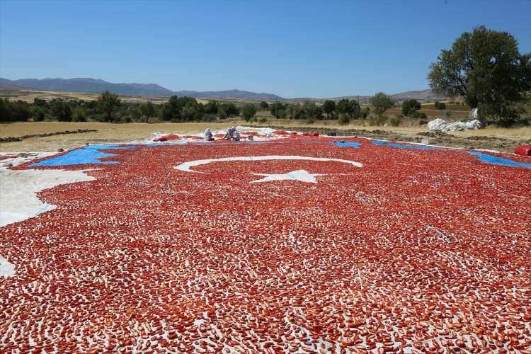 <p>Her yıl köyde düzenlenen tarla günü etkinlikleri kapsamında kurutulmuş domateslerden figürler yaptıklarını dile getiren Yıldız, "Yetiştirdiğimiz organik domatesleri kesip kaya tuzuyla tuzlayıp kuruttuktan sonra dökme olarak paketleyip ihracatçı firmalara satıyoruz." ifadelerini kullandı.</p>
<p> </p>
