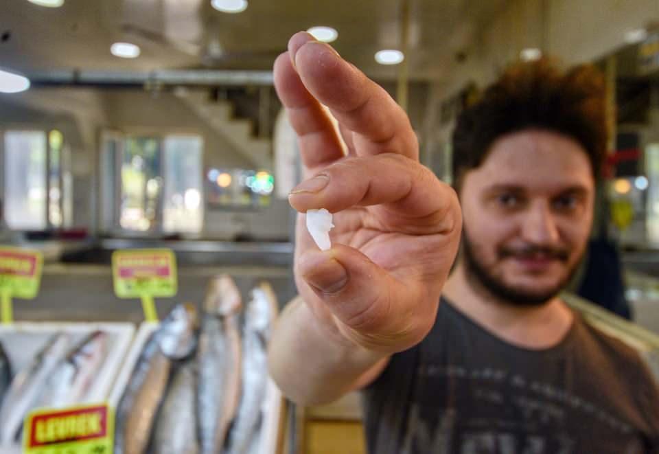 <p>Denizlerdeki av yasağının sona ermesiyle tezgahlardaki balık çeşitliliği de arttı. </p>

<p> </p>

