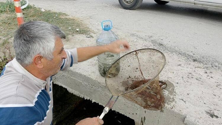 <p>Kanalın geçtiği İstasyon Mahallesi'nde hafif yürüme engelli coğrafya öğretmeni Süleyman Ekiz, durumu fark edip, balıkları su dolu pet şişelere doldurdu.</p>