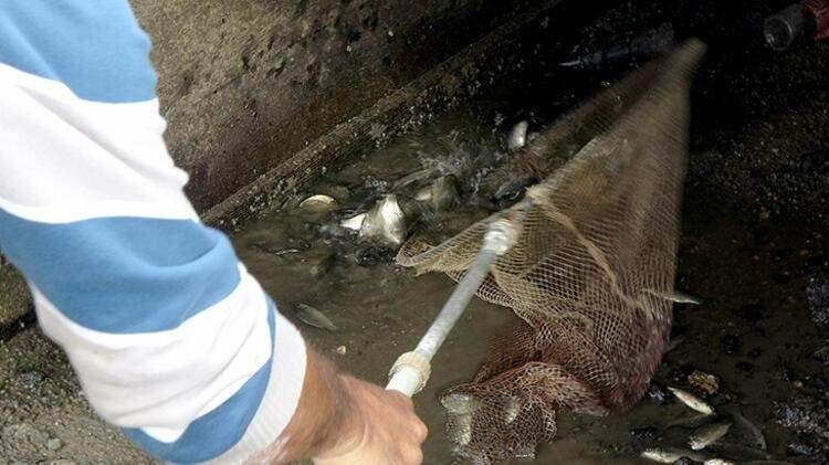 <p>KANALA YENİDEN SU VERİLDİ</p>
<p>Haber verilmesi üzerine ise DSİ 11'inci Bölge Müdürlüğü yetkilileri devreye girerek sulama kanalına yeniden su bırakılmasını sağladı.</p>
<p>Kooperatif yetkilileri de sulama sezonunun bitmesiyle birlikte kanala Meriç Nehri'nden su akışının durdurulduğunu belirterek, gerekli önlemleri almaya çalıştıklarını söyledi.</p>