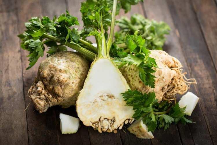<p><strong>KEREVİZ</strong></p>
<p><strong>İçeriğinde toprak maddeleri yani lityum ve folik asit fazla barındırdığından hızlı bir reaksiyona neden olabilir. </strong></p>