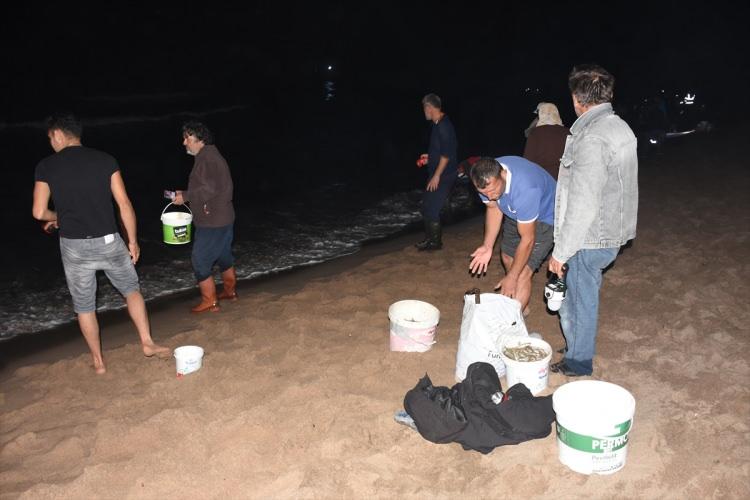 <p>Köy sakinlerinden Nevzat Yelkenci de denizin ani soğuması nedeniyle tonlarca istavritin sahile vurduğunu ve birçok kişi gibi kendisinin de kovalarla sahile geldiğini belirterek, "Burada 100 kilo toplayan var. Daha önce de bu olayı yaşamıştık ama böylesi olmamıştı." ifadesini kullandı.</p>