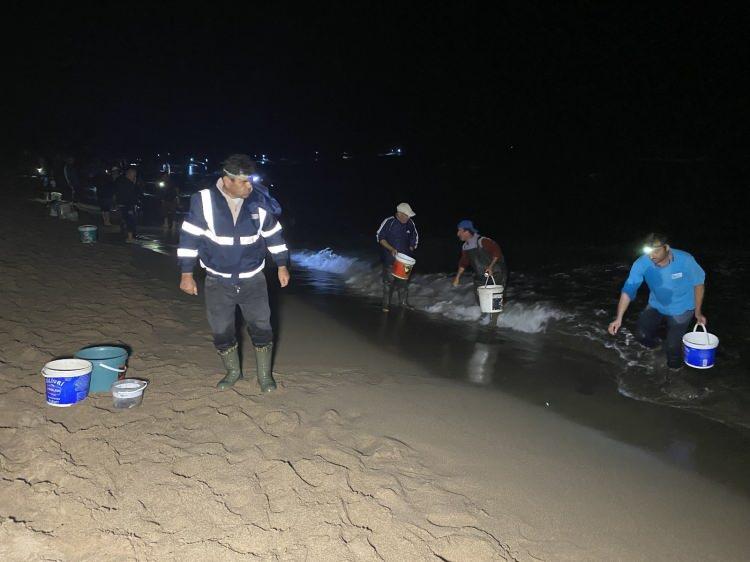 <p>Genelde aynı saatlerde oluyor. Ortalama ben iki kovamı doldurdum. 40 kiloya yakın balık yaptım yani iki saatte.</p>