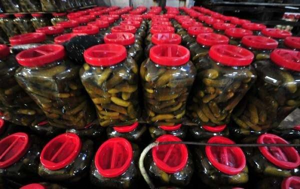 <p>Burası küçük bir İstanbul'dur. Köy nüfusumuz normalde 1700 civarındadır. Yazın dışarıdan gelenlere birlikte nüfusumuz 3 bin, 4 bin civarına çıkmaktadır” dedi.</p>
