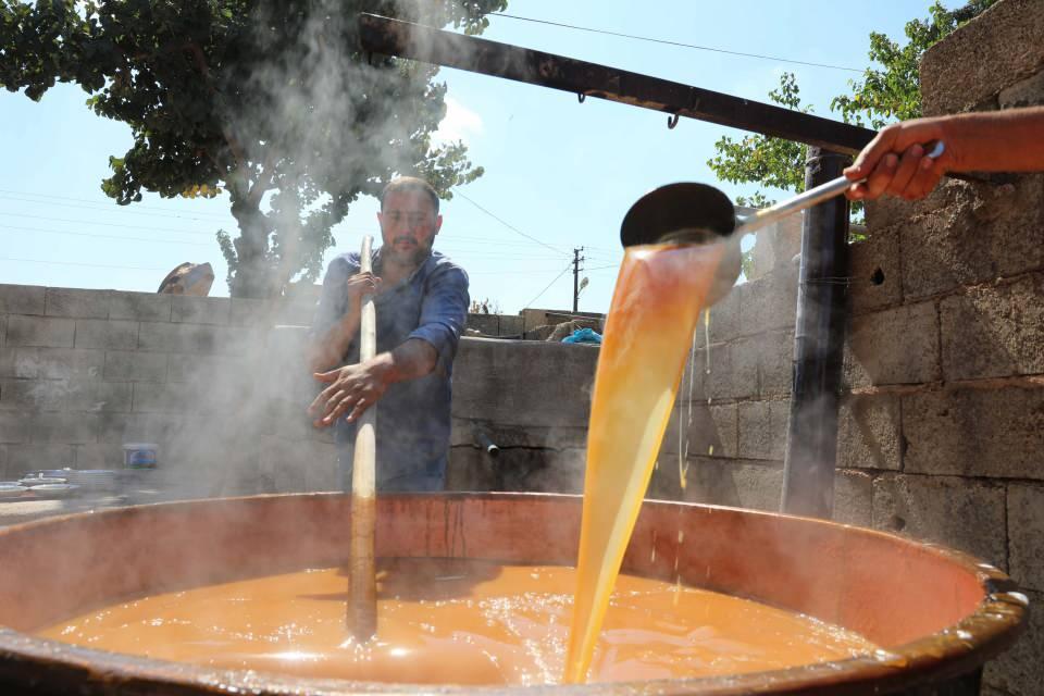 <p>Çelikkanat, bağ bozumunun ardından toplanan üzümlerden pekmez ve pestil elde ettiklerini söyleyerek, "Bağ bozumunda elde ettiğimiz tatlı üzümlerle pekmez ve pestil yapıyoruz. Şu an pestil zamanı. </p>
