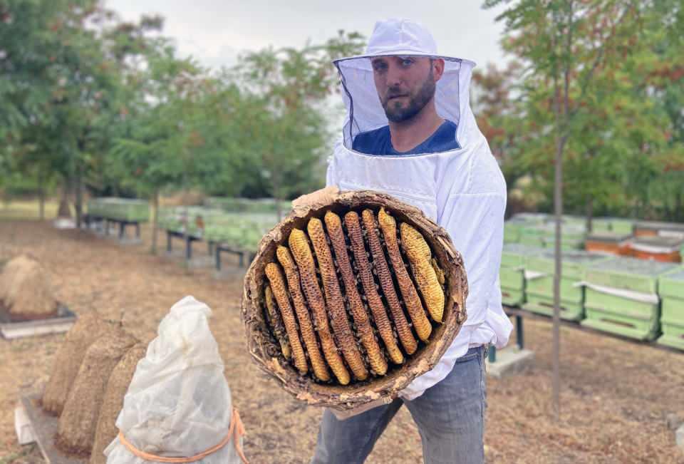 <p>Trakya'ya özgü koni şeklindeki sepet kovanlarla yapılan arıcılığın hem ekonomik hem de daha kolay olduğunu anlatan Boz, "Söğüt dallarından örülen sepetler bir süre güneşte kurutulduktan sonra kül ve hayvan gübresiyle sıvanıp iyice kuruduktan sonra içlerine arılar yerleştiriliyor. </p>