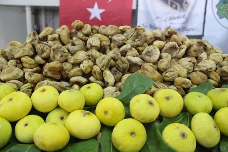 <p><span style="color:#000000"><strong>Hayvanlar üzerinde yapılan bazı çalışmalarda sindirim sistemine olumlu etkileri görülmüş; kabızlığı azalttığı, ülseratif kolit gibi rahatsızlıkların etkilerini hafiflettiği kanıtlanmıştır.</strong></span></p>

<p> </p>
