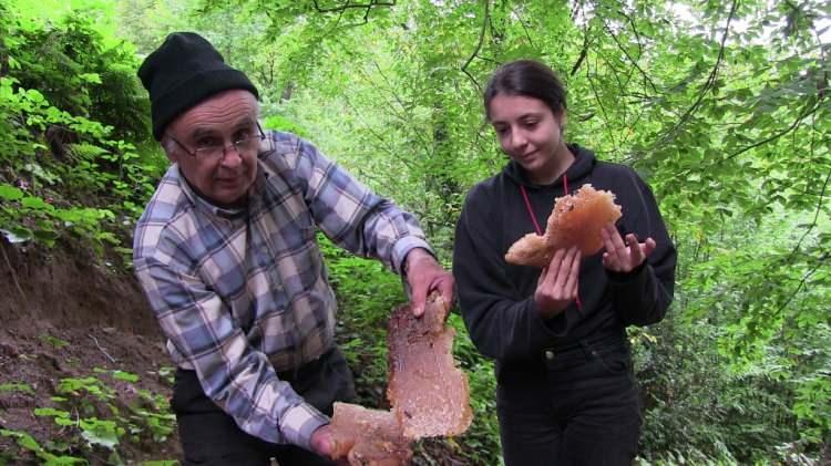 <p>Bölgede 35 ila 50 yıldır arıcılıkla uğraşan üreticiler, Kabaca köyü vadisinin çok zengin flora ve endemik bitki türüne sahip olduğunu ifade ederek, Kafkas arı ırkından elde edilen balın kalitesini artırdığını söylediler.</p>

<p> </p>
