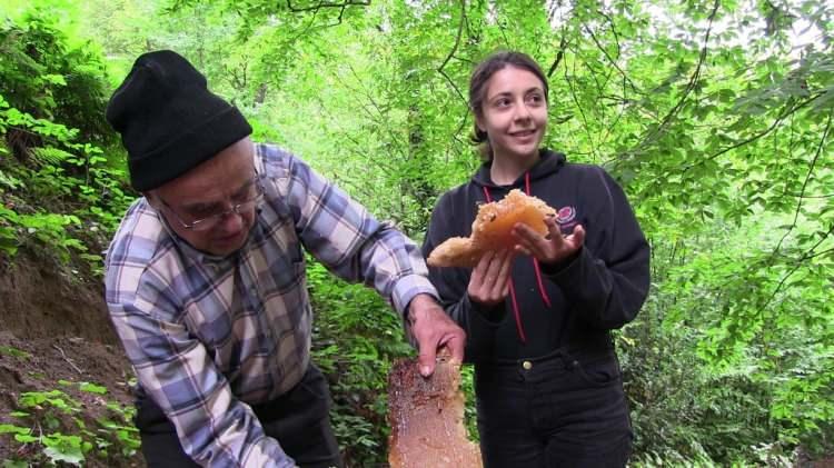 <p>Artvin’in bitki çeşitliliği bakımından en zengin bölgeleri arasına olan Murgul’un Kabaca köyü vadisi arıcılara ev sahipliği yapıyor.</p>
