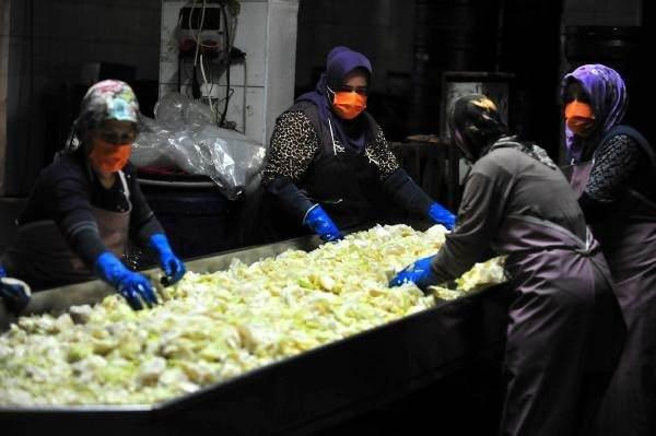 <p>Haziranda başlayan turşu sezonu, temmuzun ortasından sonra yoğunlaşır. Bir yandan mal gelir bir yandan temizlenir bir taraftan işlemesi olur. Nefes alacak zamanımız kalmıyor. Bazı zamanlar işleri yetiştiremediğimiz oluyor. </p>