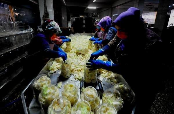 <p>Toplamda 70 turşu imalathanesi bulunan, 1600 kişinin yaşadığı Gedelek'in nüfusu, mayıs ile ekim ayları arasında 3 bine çıkıyor. Sezonluk gelen işçilerin bazıları mahallerinde, birçoğu ise Orhangazi ve çevre ilçelerde kiraladıkları evlerde kalıyor.</p>
