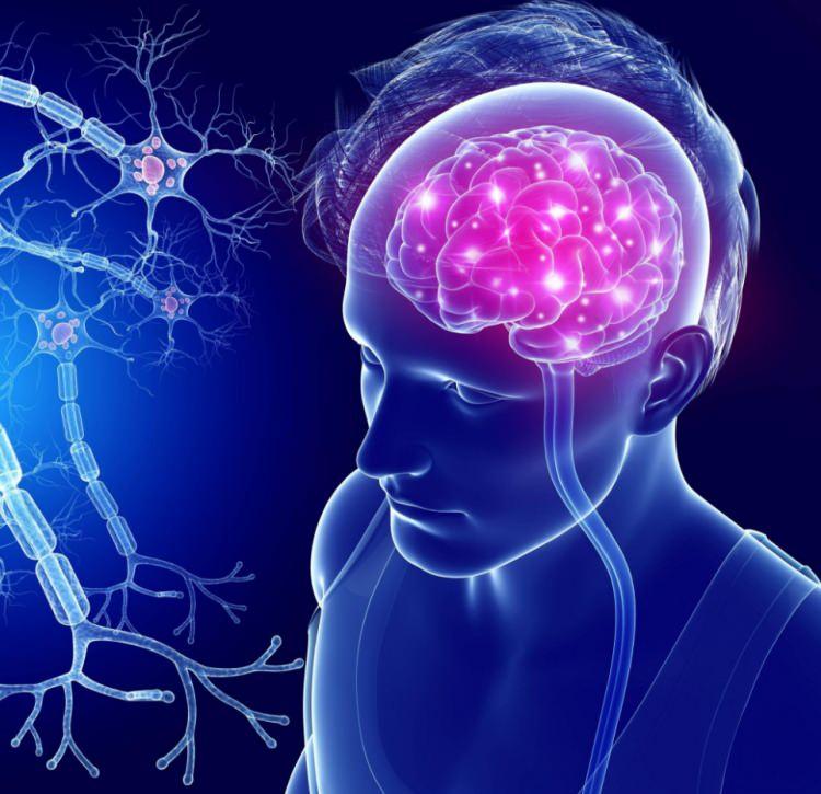 <p><strong>Sık a&ccedil;lığı ilişkilendirebilecek diğer sağlık sorunları depresyon veya anksiyetedir ve ayrıca adet &ouml;ncesi gerginlik sendromunun iştahsızlığa yol a&ccedil;abileceği de bilinmektedir.</strong></p>
