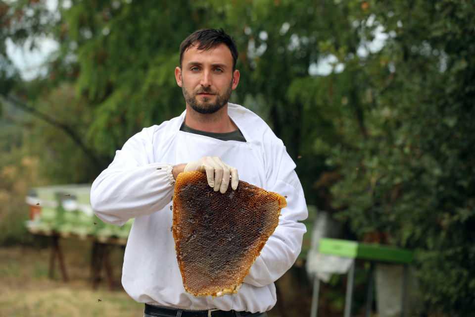 <div>Arıcılığa yeni başlayanların kolaylıkla sepet kovan temin ederek bal üretebileceklerini ifade eden Boz, şöyle devam etti:</div>

<div> </div>

<div>"Sepet kovanlar daha ekonomik, fiyatları 20-25 lira civarında ayrıca arıların bakımı çok daha kolay. </div>
