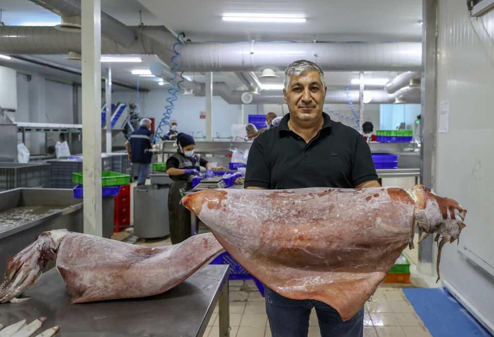 <p>Sular ısındıkça bu türlerin gelişi de artacaktır. Mesela aslan balığının bu kadar hızlı gelmesini beklemiyorduk. Beklediğimizden hızlı geldi." diye konuştu.</p>