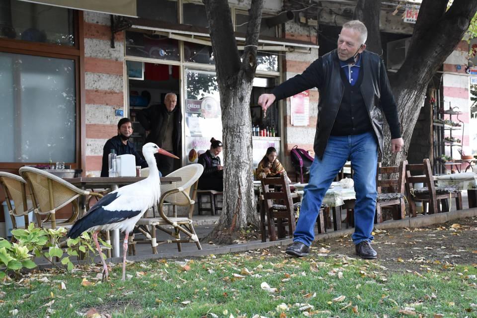 <div>Süleymanpaşa ilçesinde tarihi Bedesten Çarşısı'nın bahçesinde yaklaşık bir hafta önce sürüden ayrıldığı tahmin edilen bir leylek kondu. Bahçeden günlerdir ayrılmayan leyleğe, çarşı esnafı sahip çıktı. </div>