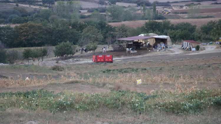 <p>Havsa Belediyesi'nden yapılan duyuruda, küçükbaş ve büyükbaş hayvanlarda oluşan mavi dil hastalığı sebebiyle, Havsa ilçesine bağlı Azatlı ve Abalar köyleriyle beraber, Edirne merkeze bağlı Orhaniye, Karakasım, Doyran, Elçili, Tayakadın ve Üyüklütatar köylerinden gelecek hayvanların ilçede kurulan hayvan pazarına alınmayacağı belirtildi.</p>
