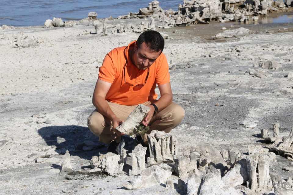 <p>Doğa fotoğrafçısı Doğaç Hüseyin Kutlu da "Ülkemizin eşsiz güzelliklerine burada tanıklık ettik. Dünyada sadece belirli bölgelerde bulunuyor. Bu nadir güzellikleri fotoğraflamak güzel bir duygu." dedi.</p>
<p> </p>