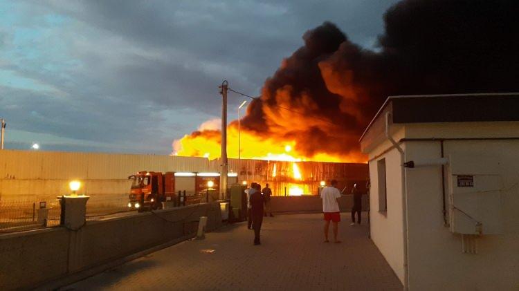 <p> Manisa'nın Yunusemre ilçesindeki bir geri dönüşüm fabrikasının bahçesinde yangın çıktı. Sürekli olarak aynı tesiste yangın çıktığını belirten vatandaşlar, yetkililerin soruna bir çözüm bulmasını istedi.</p>
