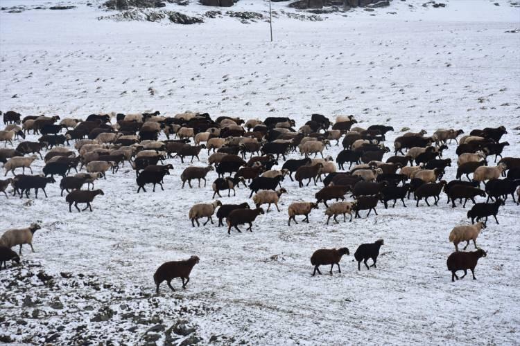 <p>Kar ve sis nedeniyle görüş mesafesinin de düştüğü Allahukeber Dağları'nda arama çalışması başlatan ekipler, zorlu coğrafyada çobanların bulunması için yoğun çaba sarf etti.</p>
