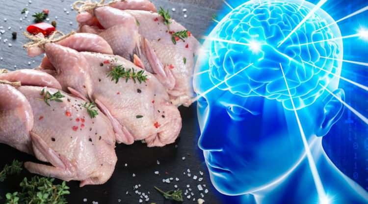 <p><span style="color:#000000"><strong>Hemen hemen herkes bıldırcın yumurtasının insan sağlığına etkilerini biliyor ancak &ccedil;ok az kişi bıldırcın etinin lezzetini ve faydasını bilir. Anadolu lezzetleri arasında yer alan bıldırcın eti tam bir mineral ve vitamin deposudur. G&uuml;&ccedil;l&uuml; bir hafızanın tek vitamin kaynağı olan bıldırcın eti hakkında merak edilenleri araştırdık. Bıldırcın etinin faydaları nelerdir?</strong></span></p>
