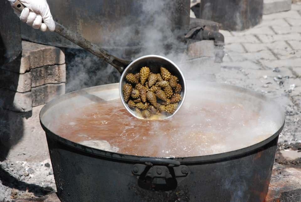 <p>Ben de yapayım, dedim, sonra bölgemizdeki ormanlardan çam kozalağı topladım. Sonra kaynatarak, pekmez haline getirdim. Eşime verdikten sonra faydasını gördük. Sonra bunu duyan insanlar benden sipariş vermeye başlayınca, artık her yıl yapmaya başladım” dedi.</p>

<p> </p>
