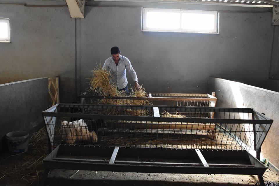 <p> İstanbul'da ailesiyle uzun yıllar ticaret yapan, bazı alışveriş merkezlerinde (AVM) üst düzey yönetici olarak çalışan 35 yaşındaki Eyüp Soydemir'in, 5 yıl önce memleketi Bilecik'te başladığı küçükbaş hayvan yetiştiriciliğiyle ürettiği keçi peyniri ilgi görüyor.</p>
