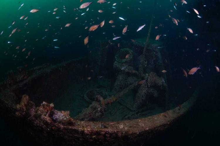 <p>Çanakkale'nin turizmin her dalı için farklı seçenekler barındıran önemli bir nokta olduğunu vurgulayan Alpaslan, "Çanakkale'de kayak turizmi dışında, turizm adına tarih adına ne istersek var burada. Yeter ki biz bunu çok güzel bir ürün haline getirelim. Dünyaya tanıtımını yapalım. Dünyanın her bir bölgesinden buraya akın akın gelecek. Ve bunun daha da gelişmesine ön ayak olacaktır." ifadelerini kullandı.</p>

<p> </p>
