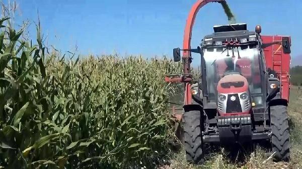 <p>Kasımoğlu, mısır ekimi yaptığını ve bu yıl 400 ton ürün elde ettiğini belirterek, "Yaklaşık 30 yıldır çiftçilik yapıyorum. Van Gölü'nde son 20 yılın en çok su çekilmesini yaşıyoruz. Bu yılki çekilme ise daha fazla oldu" diye konuştu.</p>
