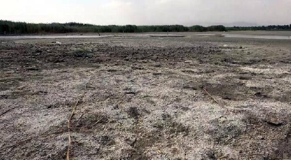 <p>Bu yıl ise Meteoroloji Genel Müdürlüğü'nün temmuz ayı sıcaklık ve yağış değerlendirmesi raporlarına göre, Van ve çevresinde son yılların en kurak dönemi yaşandı. Bölgedeki birçok dere ve gölet gibi Van Gölü de kuraklıktan etkilendi.</p>