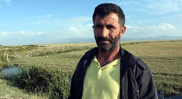 <p>SAHİLLE ARASINDAKİ MESAFE 5 KİLOMETREYE ÇIKTI</p>
<p>Su çekilmesiyle 30 yıllık çiftçi Seyfullah Kasımoğlu'nun daha önce sular altında olan 100 dönümlük arazileri ile sahil arasındaki uzaklık 5 kilometreye kadar çıktı. 1997'de Van Gölü sularının çekilmeye başladığını, 2002'den sonra tapulu arazilerinin tamamen gün yüzüne çıktığını ancak uzunca bir dönem kullanamadığını belirten Kasımoğlu, 3 yıl önce 100 dönüm olan arazisini ekip biçmeye karar verdiğini anlattı.</p>