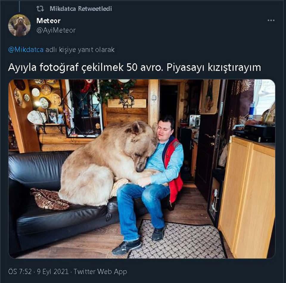 <p><strong>'AYI BENDEN DE MEŞHUR OLDU'</strong></p>

<p>Ayı ‘Meteor’ ile mücadelesini sosyal medyada da paylaşan Prof. Dr. Kadıoğlu, şöyle konuştu:</p>

<p>“Medyada ayı mı meşhur oldu ben mi meşhur oldum, bilmiyorum. Twitter’a başvurdum tanınan kişi olarak ama Twitter beni tanımadı. Belki ayıya mavi tik verecek, bana vermedi. Ayı benden de meşhur oldu. </p>
