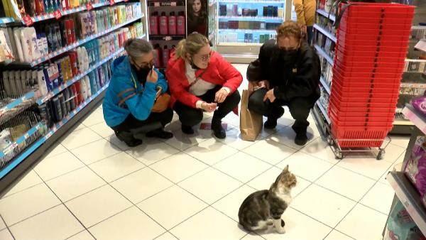 <p>Kadıköy'de bulunan bir markette, çalışanların 'Nokta' ismini verdikleri kedi, mama reyonunun önünde bir an olsun ayrılmıyor. Mağazaya gelen müşterilere acı acı miyavlayarak kendisini acındıran 'Nokta' kedi kendisine zorla yaş mama aldırıyor. Mama aldırmak için bir patisini kaldırarak sakat taklidi de yapan kedi, videolarının sosyal medyada paylaşılması üzerine 'dilenci kedi' adıyla fenomen haline geldi. Sırf kediyi görmek için mağazaya her gün onlarca müşteri geliyor.</p>

<p> </p>
