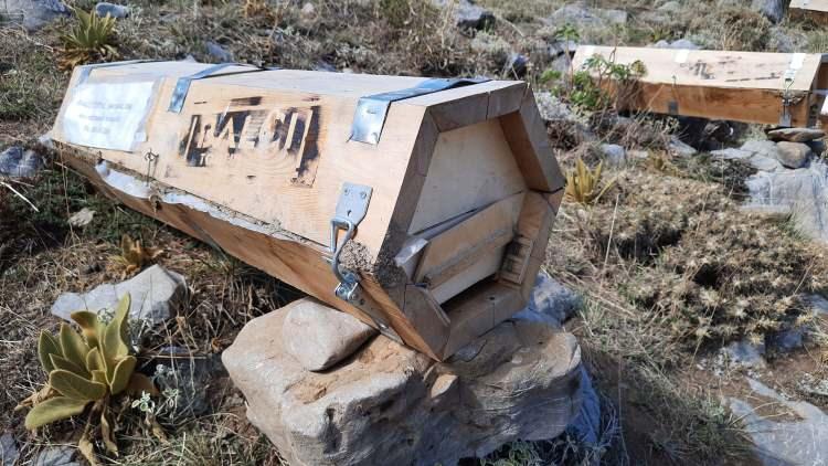 <p>Konya'nın Bozkır ilçesinde arıcılıkla uğraşan İbrahim Tontul da ilçe merkezine 100 kilometre uzaklıktaki Toros Dağları'nın zirvesine nisan ayında bıraktığı 40 kovandan bal almanın sevincini yaşıyor.<br />
</p>