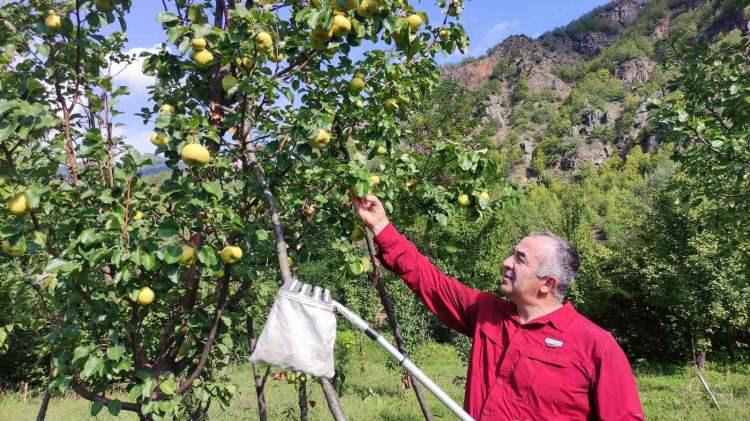 <p>Artvin Gazi Ortaokulunda Türkçe öğretmeni olan İbrahim Bülbül, Şavşat Dalkırmaz köyünde babasıyla birlikte 15 bin metrekarelik arazisini meyve bahçesine çevirme kararı aldı.</p>

