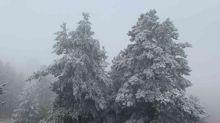 <p>Sarıkamış’ta yağan kar ile birlikte etkili olan soğuk hava ve sis beraberinde kırağıyı getirdi.</p>
