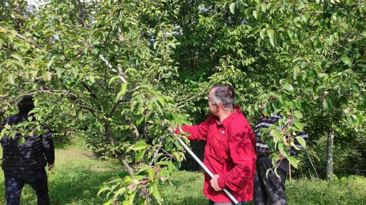 <p>Buradaki ilk amacımız Artvin meyve ırklarının kaybolmamasını önlemek ve sonraki nesillere aktarımını sağlamak. Bunu yaparken de şehitlerimizi unutmadık</p>