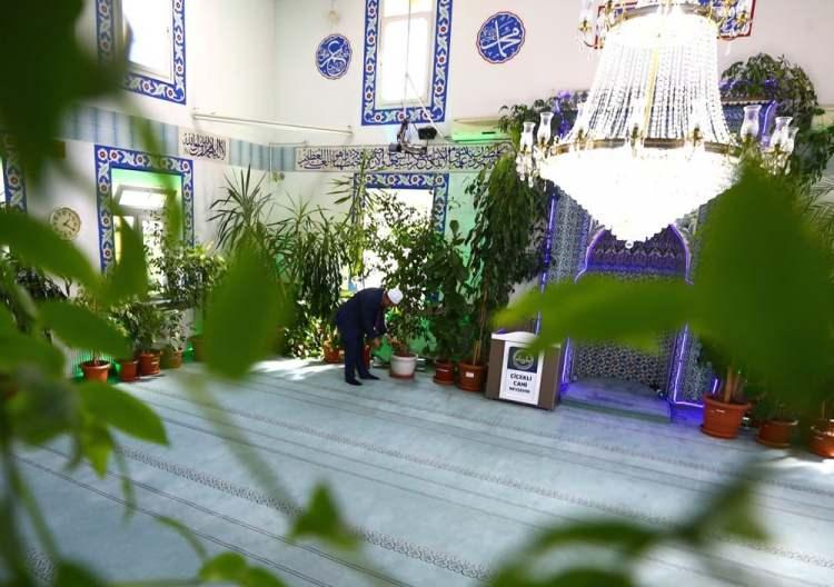 <p>Mahalle sakinlerinin desteği sonrasında camideki bitki sayısı gittikçe arttı. Yeni görüntü sonrasında caminin ismi iki yıl önce Çiçekli Cami olarak değiştirildi. Camide, 300'den fazla saksı çiçeği bulunuyor.</p>
<p> </p>