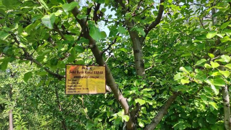 <p>Ağaçlar büyümeye başlayınca Bülbül, meyve bahçesinde bulunan ağaçlara şehitlerin isimlerinin yazılı olduğu tabela astı.</p>
