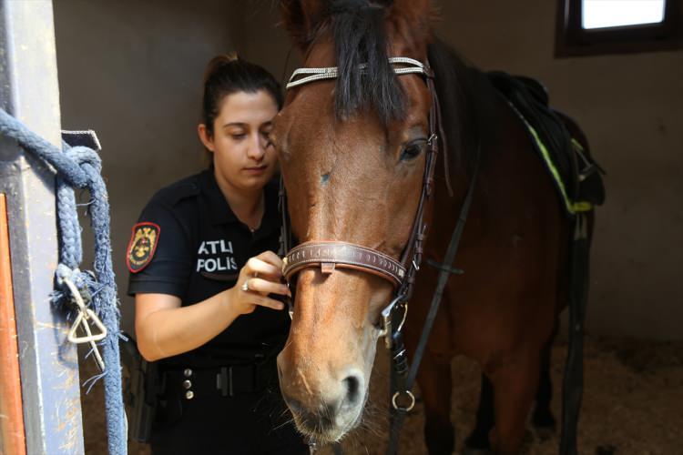 <p><strong>"Orman yangınlarından sonra görevlendirmemiz ormanlık alanlarda devam etti"</strong></p>
<p>Atlı polis 25 yaşındaki İbrahim Güneyli de, Akdeniz Üniversitesi İletişim Fakültesinden mezun olduktan sonra Çevik Kuvvet Şube Müdürlüğüne bağlı olarak atlı polis birliğinde görev yaptığını belirtti.</p>