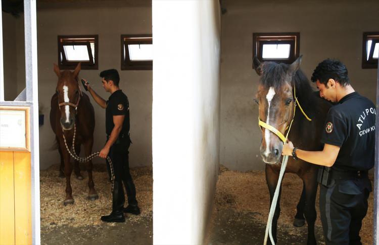 <p>Atlı polis olarak yeni tipi koronavirüs (Kovid-19) denetimlerinde ve orman yangınları tedbirlerinin kontrolünde görevlerine devam ettiklerini aktaran Irmalı, toplumsal olaylarda da görev aldıklarını hatırlattı.</p>

<p> </p>
