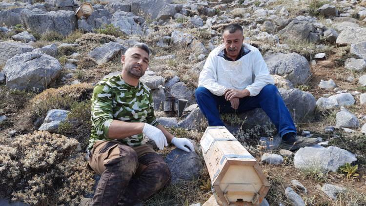 <p>İnsan etkileşiminden uzak ve yolu dahi olmayan bölgeye balları hasat etmeye arazi araçlarıyla giden Tontul, yaklaşık 3 saatlik yolculuğun ardından kovanlarına ulaştı.<br />
</p>