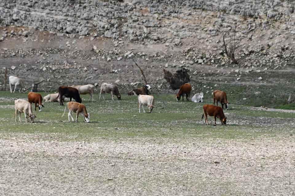 <p>Meteoroloji Genel Müdürlüğü'nün son raporlarına göre eylül ayının kuraklık endeksine göre özellikle Edirne orta şiddetli kuraklık yaşamış bir bölge olduğunu, Kırklareli'nin ise hafif kurak bir dönem geçirdiğini gösteriyor. </p>