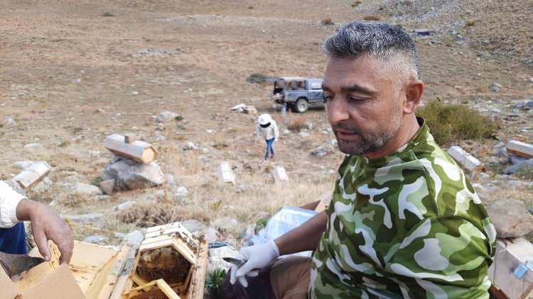 <p>Tontul, bıraktıktan 6 ay sonra açtığı kovanlarından, yaklaşık 10 saatlik bir hasat süreci sonunda 100 kilogram bal topladı.<br />
Üretici İbrahim Tontul, AA muhabirine, babasının bölgede bilinen ve sevilen bir bal üreticisi olduğunu anlattı.<br />
</p>