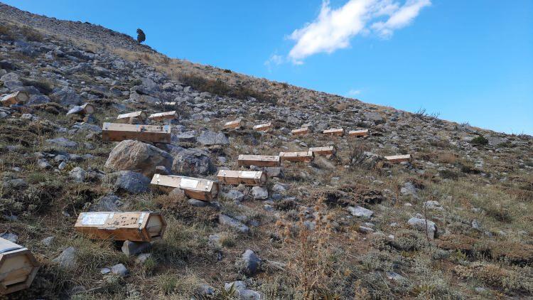 <p>Özellikle ilkbahar aylarında zengin floraya sahip bölgede ballar, sütleğen, kekik ve keven benzeri bitkilerin çiçeklerinden üretiliyor.<br />
</p>